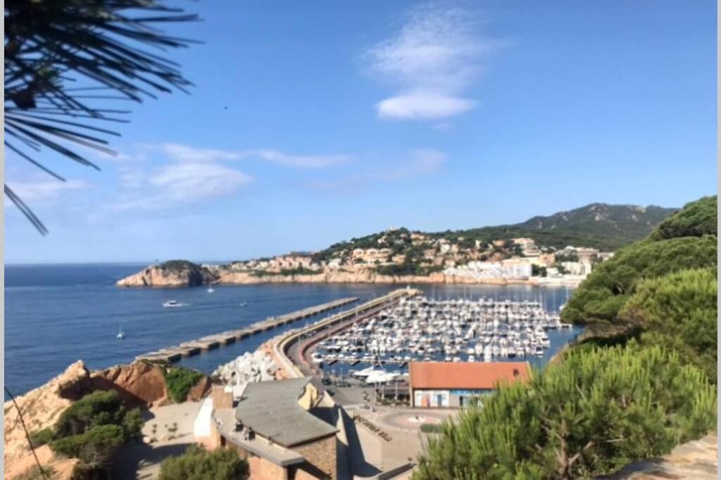 Nuevo Apartamento Moderno Elisa - A 80 Metros De La Playa Para 5 Personas Sant Feliu de Guíxols Eksteriør billede